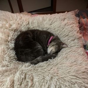 Meet your Posher, Robyn